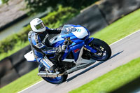 PJ-Motorsport-Photography-2020;anglesey;brands-hatch;cadwell-park;croft;donington-park;enduro-digital-images;event-digital-images;eventdigitalimages;mallory;no-limits;oulton-park;peter-wileman-photography;racing-digital-images;silverstone;snetterton;trackday-digital-images;trackday-photos;vmcc-banbury-run;welsh-2-day-enduro